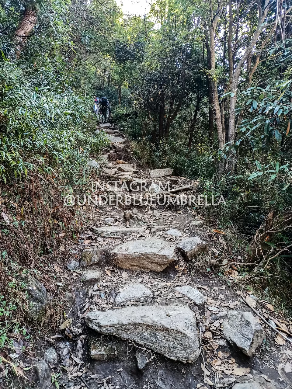Photo of Triund, Himachal Pradesh by Swati Solanki