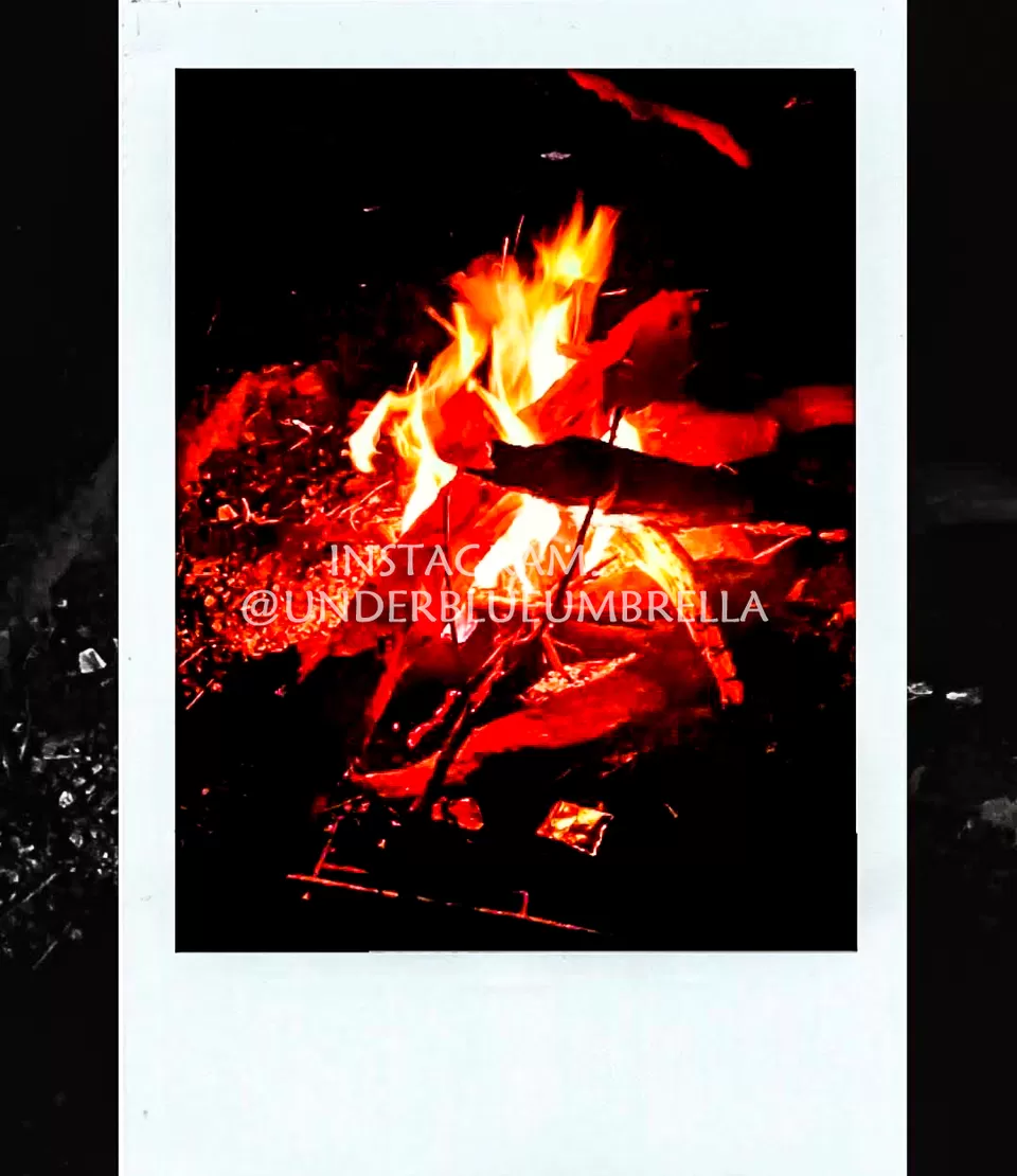 Photo of Triund, Himachal Pradesh by Swati Solanki