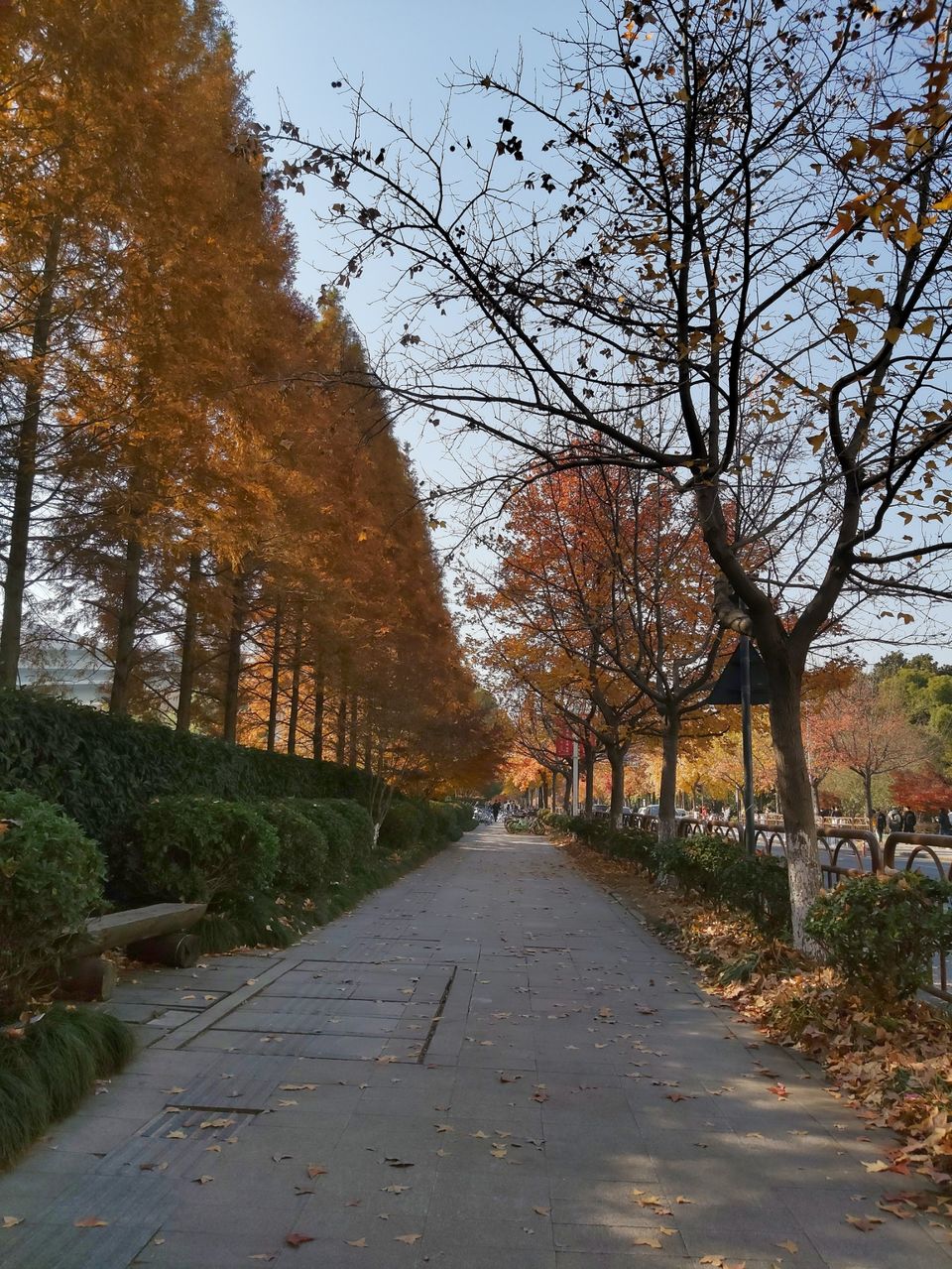 Photo of China isn't that bad after all. by Lakshaaaa