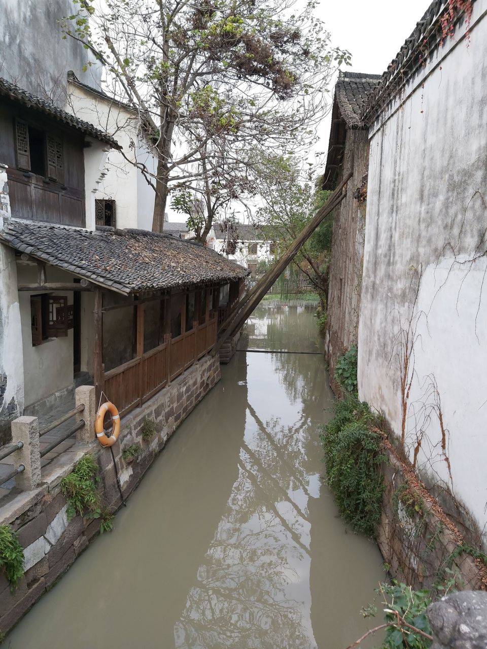 Photo of China isn't that bad after all. by Lakshaaaa
