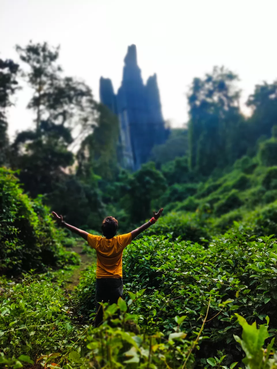 Photo of Yana Caves, Karnataka by rahul bawangade