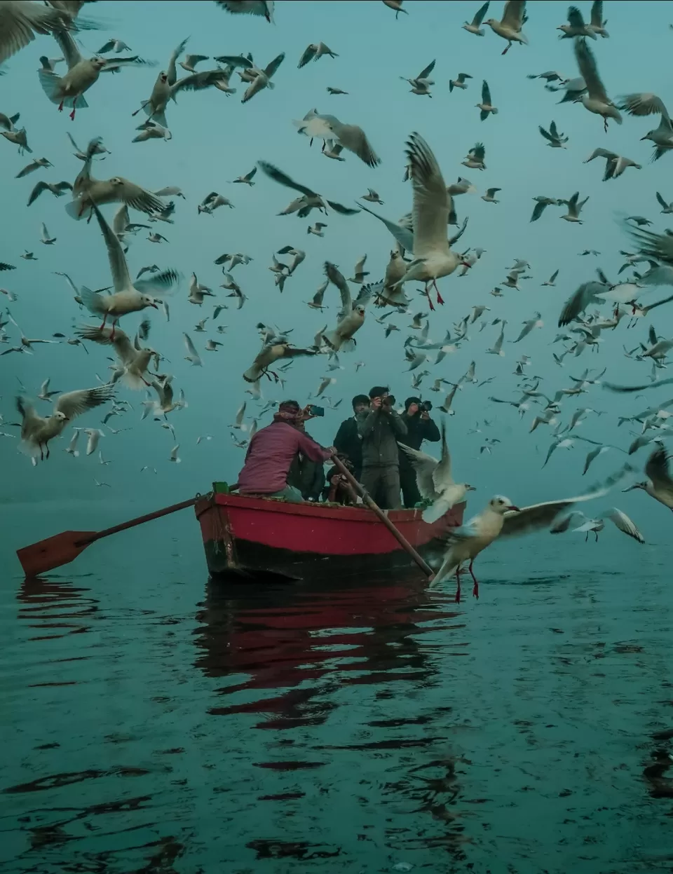 Photo of Delhi during winter by shutter humor