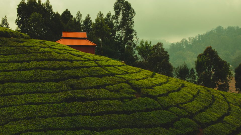 Photo of 12 Best Resorts In Kodaikanal by Varsha Banerjee (Crazy Jetsetters)