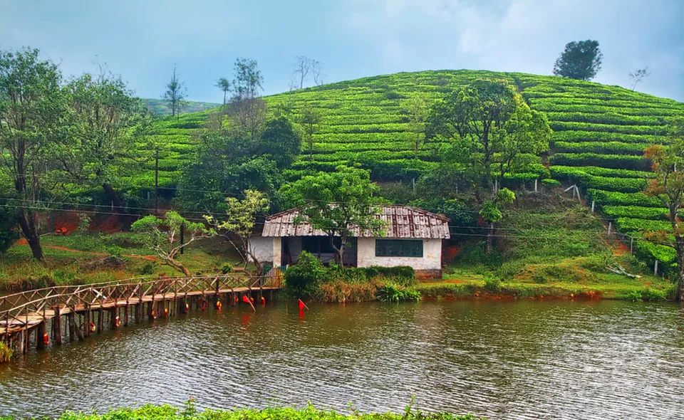 A Complete Travel Guide To Vagamon, Kerala - Tripoto