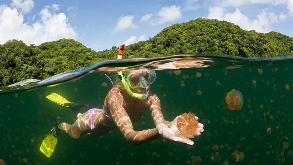 Photo of 5 World's Strangest Sights You Won't Regret Adding To Your Travel Bucketlist! by Varsha Banerjee