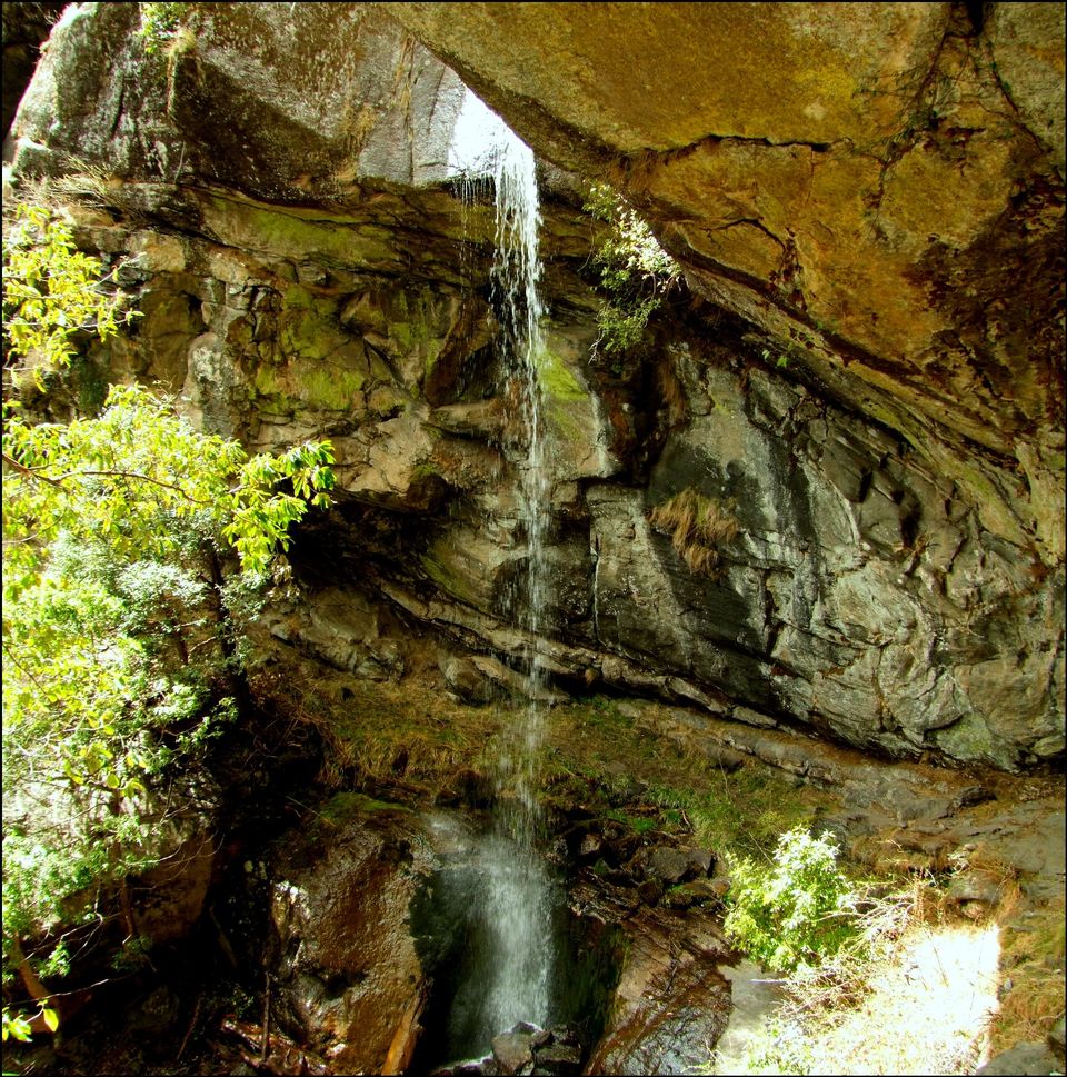 Photo of Trails of Kalap by Deeptangan Pant