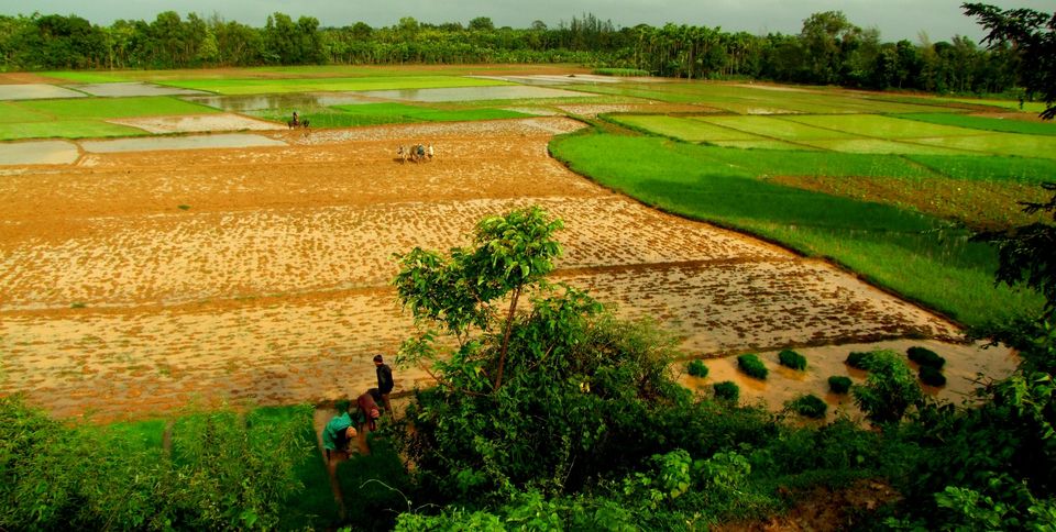 Photo of Gudnapura Lake, Gudnapur, Karnataka, India by Deeptangan Pant