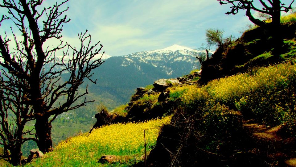 Photo of To the higher reaches of the Himalayas - Kalap by Deeptangan Pant
