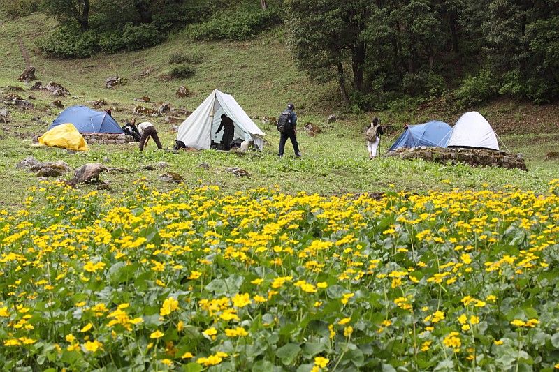 Photo of The adventure trail to Khanpari – Lama dug trek 2/5 by Gomissing Expeditions Pvt. Ltd.