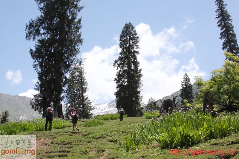 Photo of The Hamta circle adventure trail 2/2 by Gomissing Expeditions Pvt. Ltd.