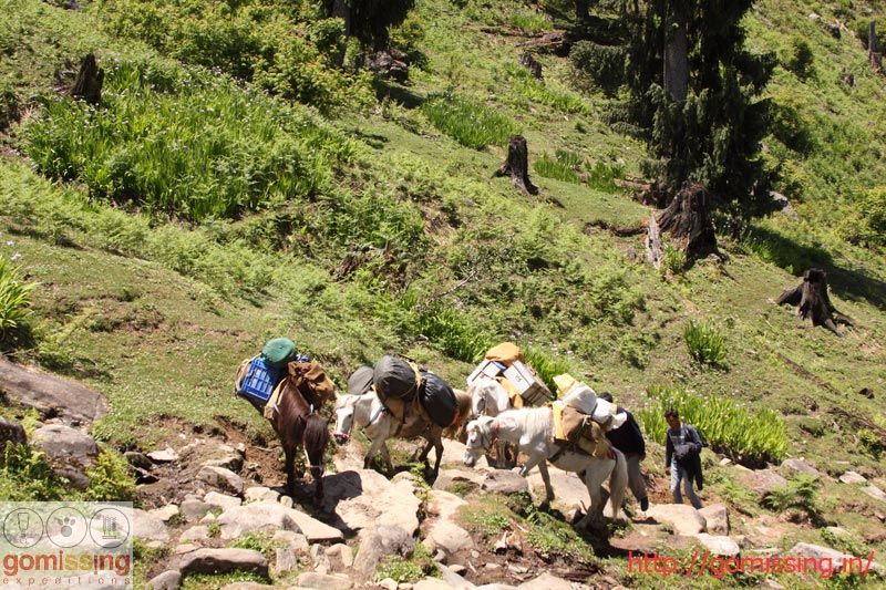 Photo of The Hamta circle adventure trail 1/2 by Gomissing Expeditions Pvt. Ltd.