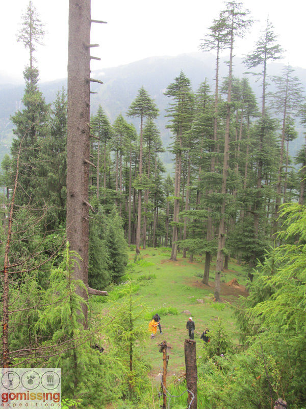 Photo of The adventure trail to Khanpari – Lama dug trek 1/5 by Gomissing Expeditions Pvt. Ltd.