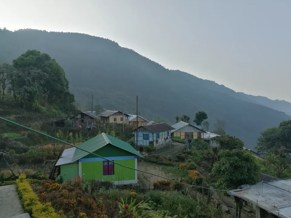 Photo of Amazing Trip by Nandini Biswas 