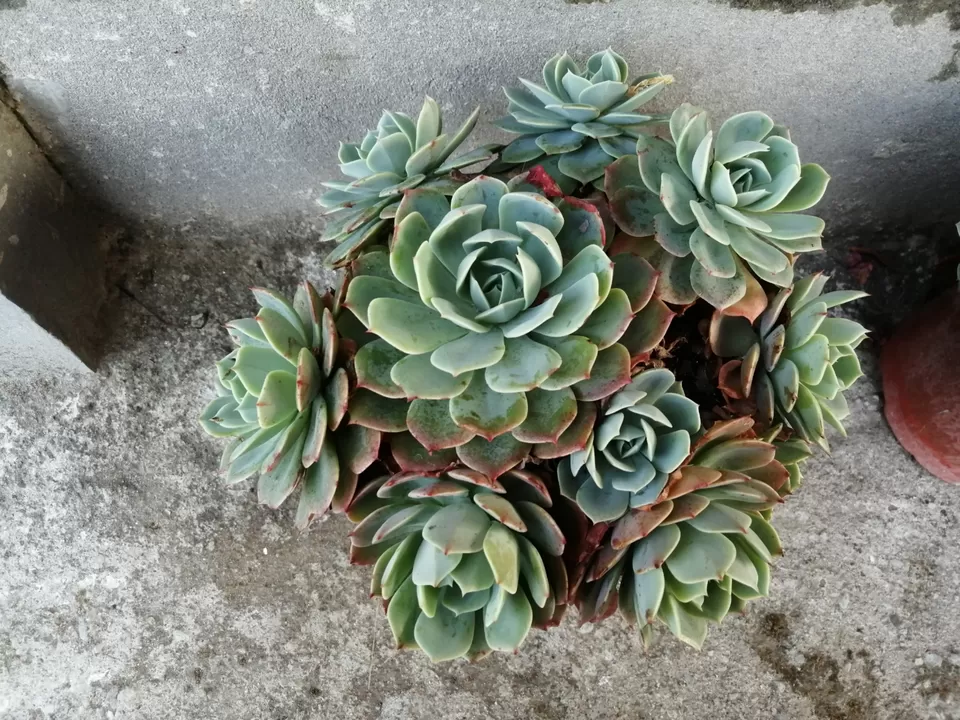 Photo of Amazing Trip by Nandini Biswas 