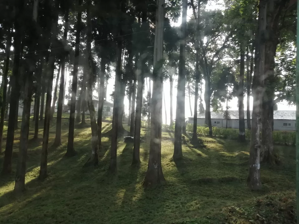 Photo of Amazing Trip by Nandini Biswas 