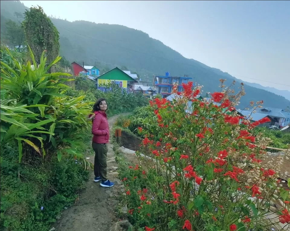 Photo of Amazing Trip by Nandini Biswas 