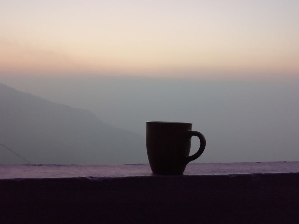 Photo of Amazing Trip by Nandini Biswas 