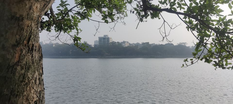 Photo of Marsandra by B.C KIRAN