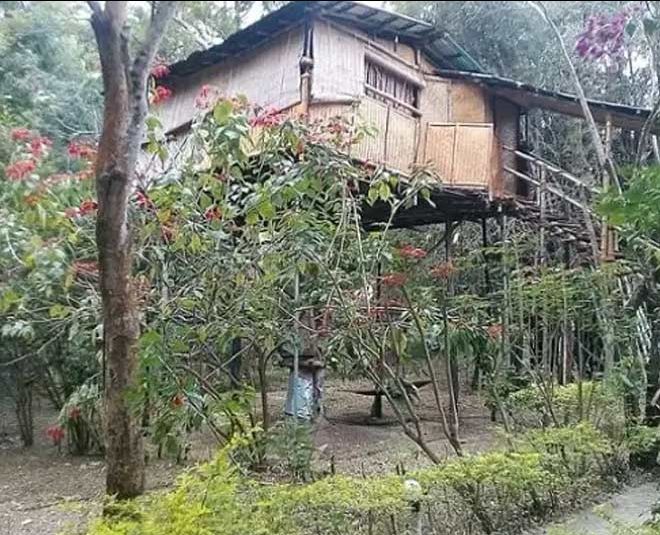 Photo of प्रकृति की गोद में बसे इन पांच ट्री हाउस में बिताएँ कुछ वक्त, मिलेगा अनोखा अनुभव by Pooja Tomar Kshatrani