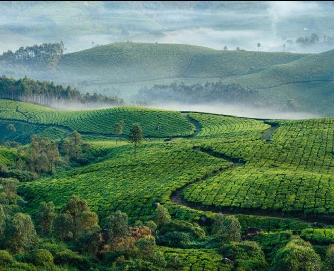 Photo of अगर आपको हाइकिंग का है शौक तो भारत की इन खास जगहों पर जाना न भूलें by Pooja Tomar Kshatrani