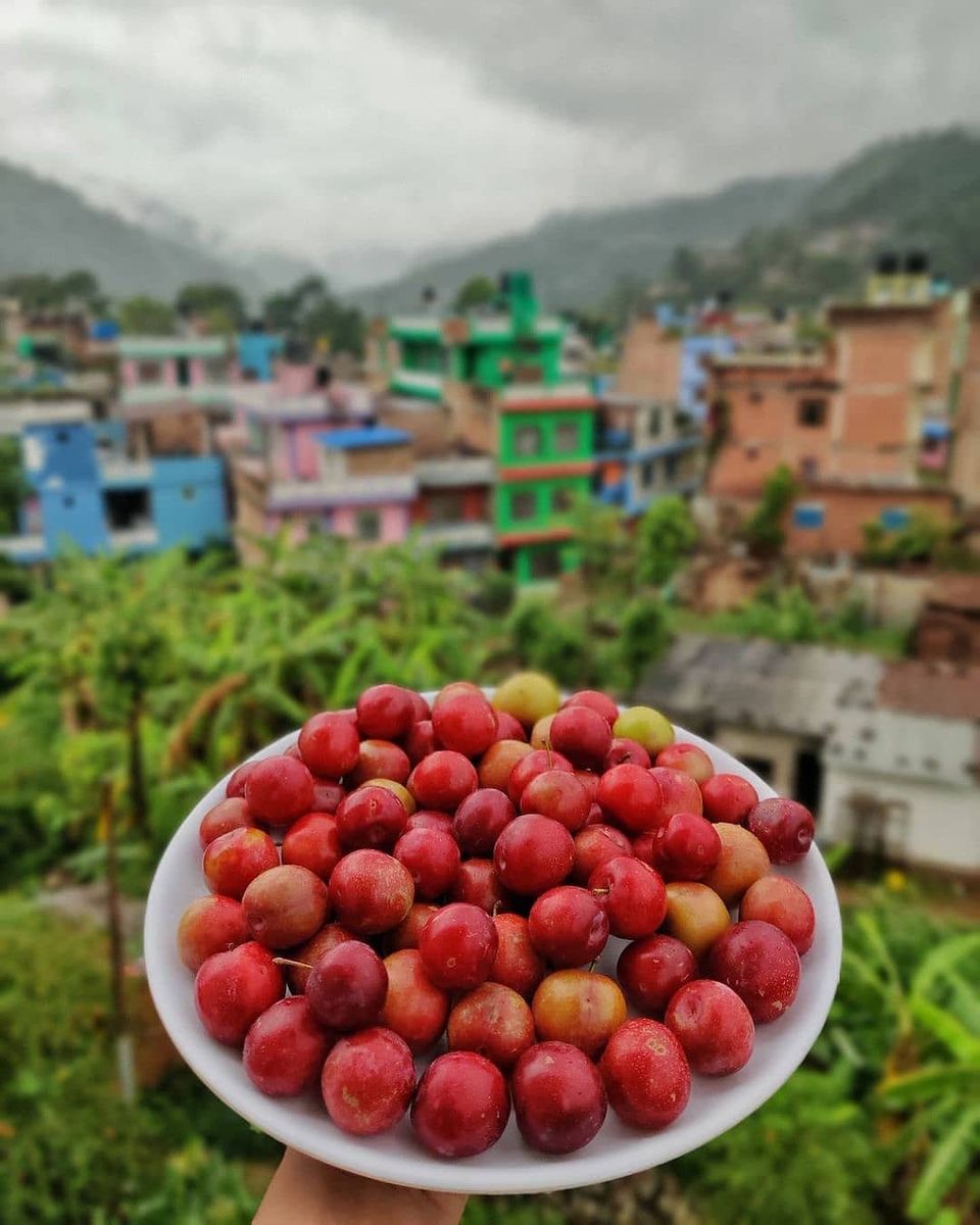 Photo of दुनिया के वह देश जहाँ वीजा का कोई झंझट नहीं, जानिए कौन से है वह खूबसूरत देश by Pooja Tomar Kshatrani