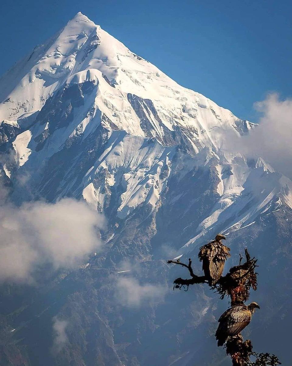 Photo of वीकेंड पर कुदरती नजारों के बीच गुजारना चाहते हैं वक्त, तो 'मुनस्यारी' है बेस्ट ऑप्शन- by Pooja Tomar Kshatrani