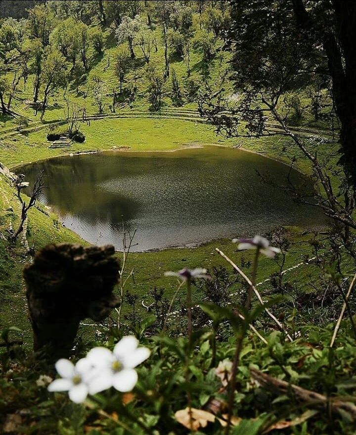 Photo of वीकेंड पर कुदरती नजारों के बीच गुजारना चाहते हैं वक्त, तो 'मुनस्यारी' है बेस्ट ऑप्शन- by Pooja Tomar Kshatrani