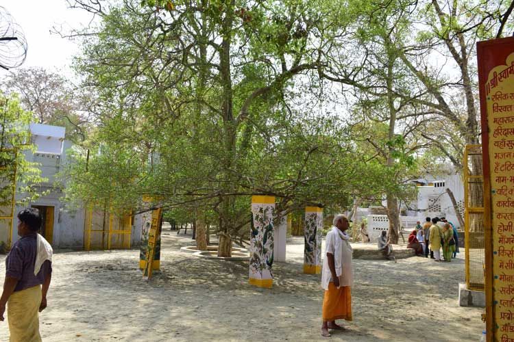 Photo of टटिया स्थान -वृंदावन का वह धाम जिसके बारे में कहा जाता है कि आज भी वहां कलियुग का प्रवेश नहीं हुआ है by Pooja Tomar Kshatrani