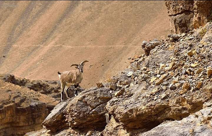 Photo of किसी जन्नत से कम नहीं है हिमाचल प्रदेश का यह जादूई गाँव,यहाँ की खूबसूरती कर देगी आपको भी अचंभित by Pooja Tomar Kshatrani