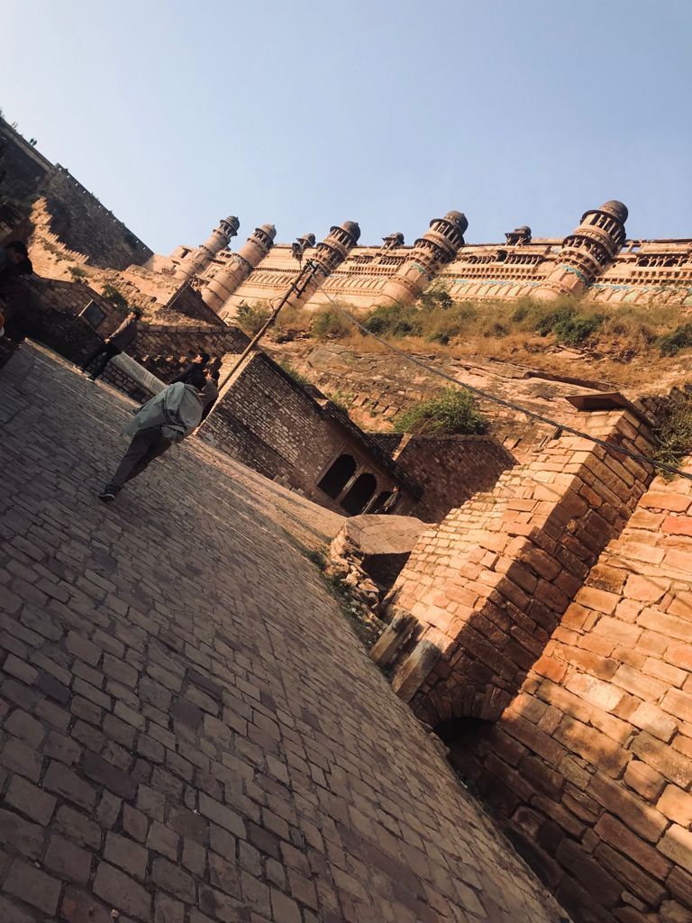 Photo of ग्वालियर किला: जिसे मिला था भारत के किलों में मोती का दर्ज़ा, आप भी यहाँ की खूबसूरती एकबार जरूर देखें by Pooja Tomar Kshatrani