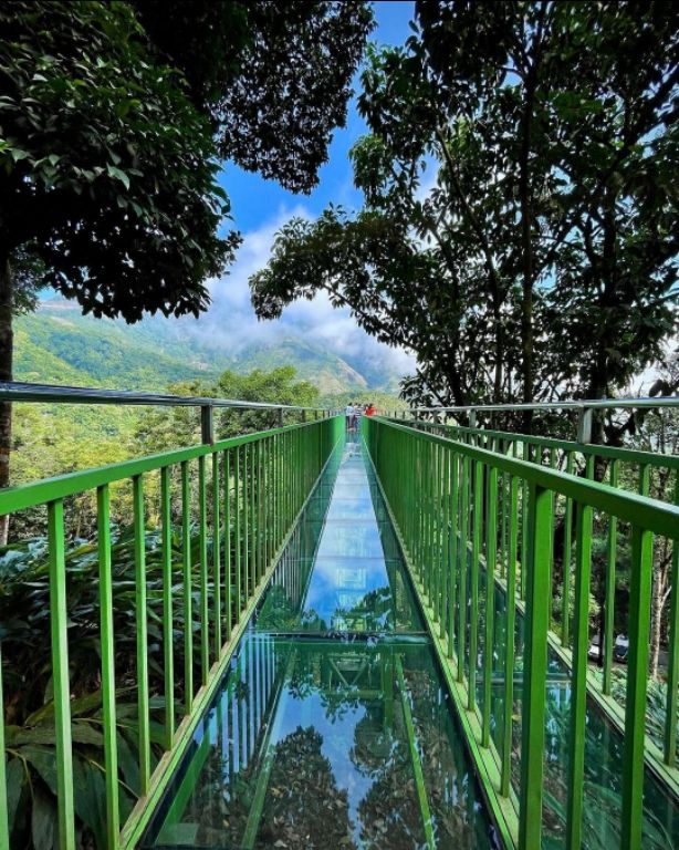 Photo of साउथ इंडिया का पहला ग्लास ब्रिज, जो ऊंचे पहाड़ों का 360 डिग्री दृश्य करता है पेश by Pooja Tomar Kshatrani