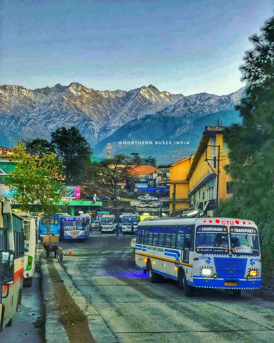 Photo of जानिए हिमाचल के पहले ट्यूलिप गार्डन के बारे में, जिसे देखने दूर दूर से पहुँच रहे है सैलानी by Pooja Tomar Kshatrani