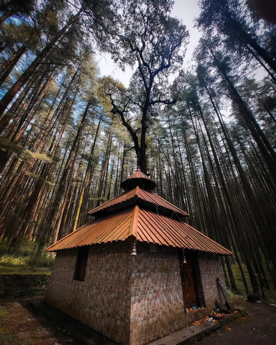 Photo of उत्तराखंड का ऐसा मंदिर जहां शिवजी ने क्रोधित होकर बनाया जंगल, देखने में लगता है हिडिम्बा टेम्पल जैसा by Pooja Tomar Kshatrani
