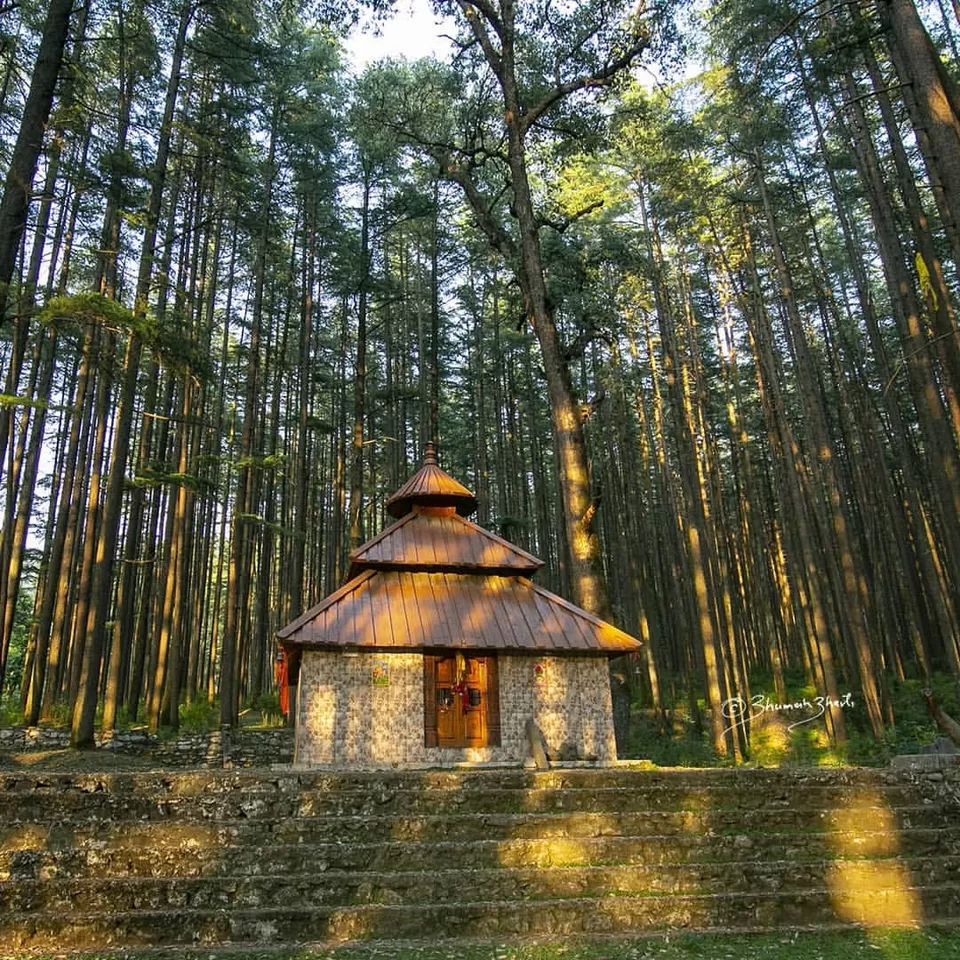 Photo of उत्तराखंड का ऐसा मंदिर जहां शिवजी ने क्रोधित होकर बनाया जंगल, देखने में लगता है हिडिम्बा टेम्पल जैसा by Pooja Tomar Kshatrani