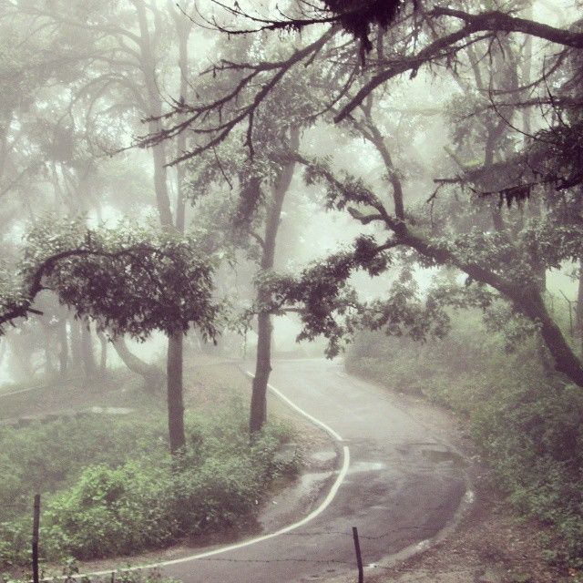 Photo of Down the lanes in Lansdowne 4/13 by Ritika Pradhan