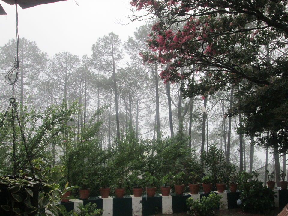 Photo of Down the lanes in Lansdowne 5/13 by Ritika Pradhan