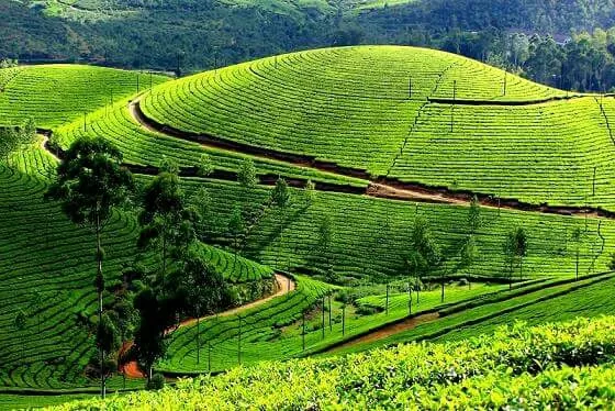 Photo of Kerala, India by Rahul Chandran
