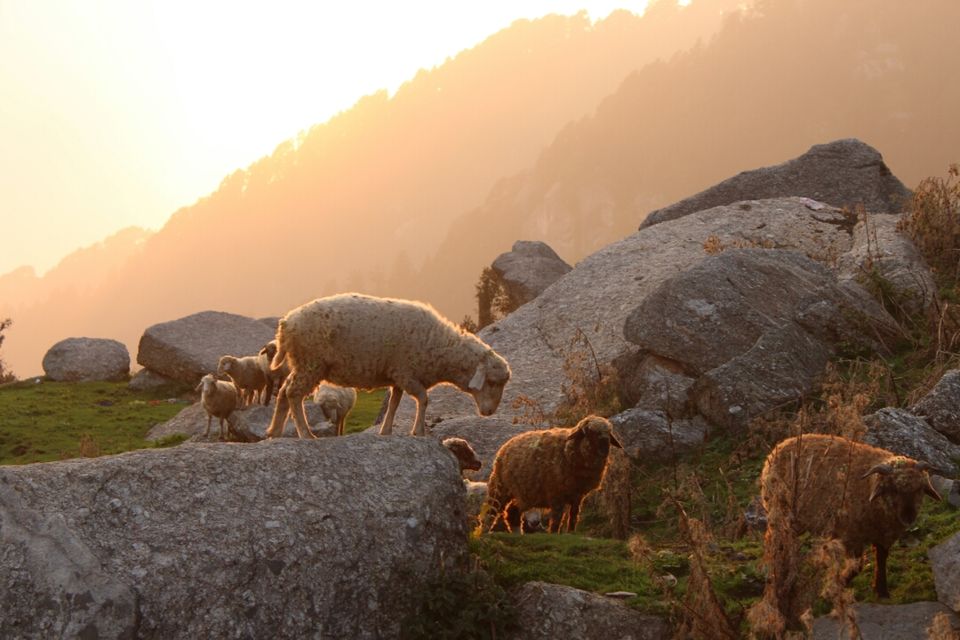Photo of Knowing the Himalayas by Rahul Chandran