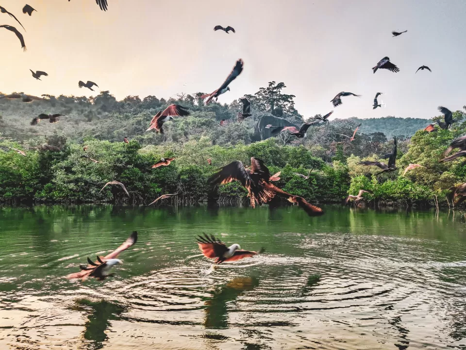 Photo of Palolem Beach by Himani & Naman | Travel | Food | Love