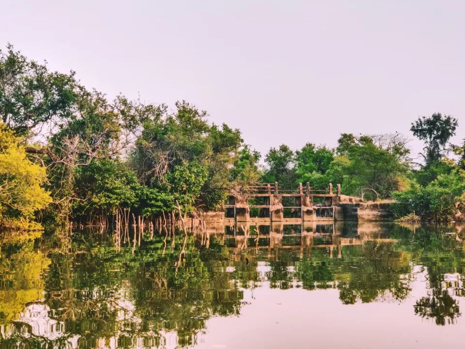 Photo of Palolem Beach by Himani & Naman | Travel | Food | Love