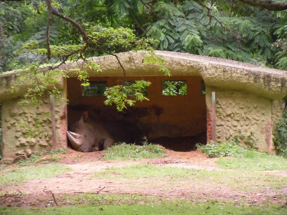 Photo of Mysore Zoo: Conflicted about zoos 3/6 by Nishita
