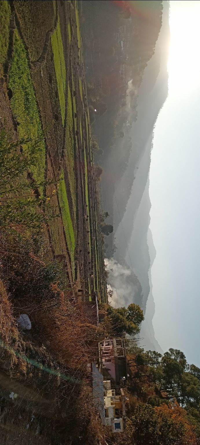 Photo of A road trip from Delhi-Nainital-Almora-kausani-Ranikhet. by Shruti Gupta