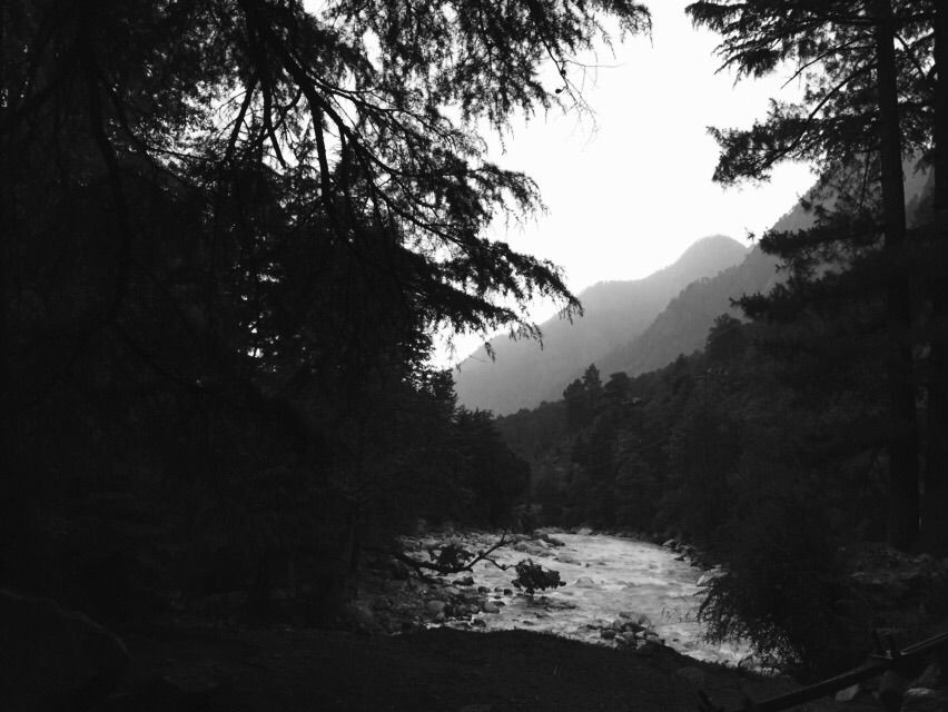 Photo of Kheerganga: A trek that deserves to be on your bucket list 6/8 by Pranoy Saha