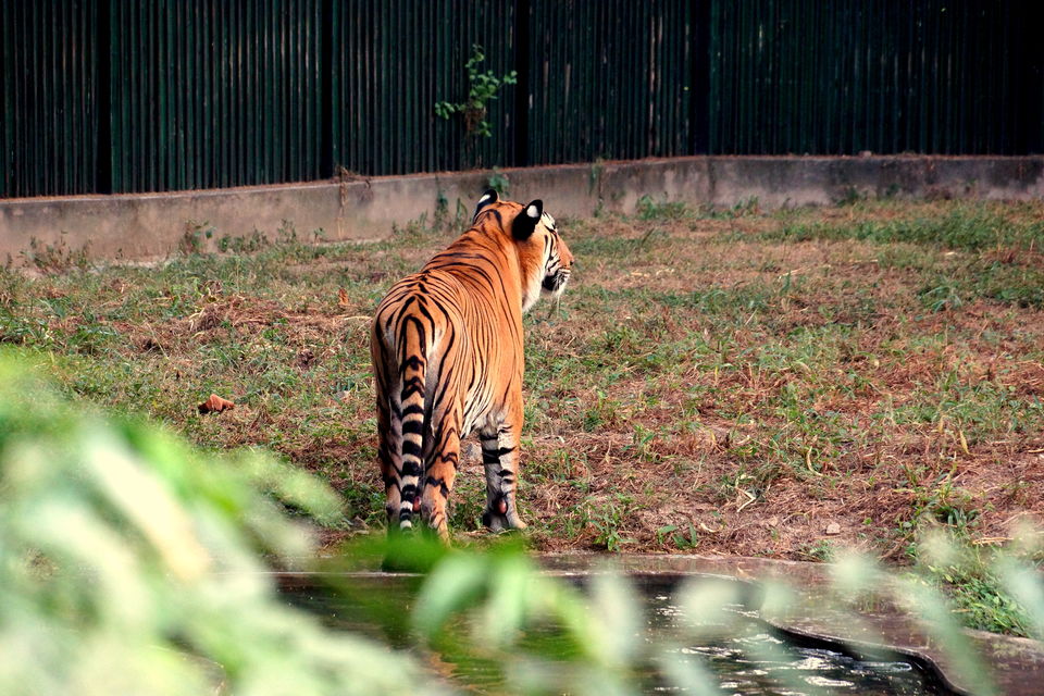 Photo of Yeh dilli hai mere yaar, Bas ishq mohabbat pyaar.. 15/20 by Vishnu Unnithan