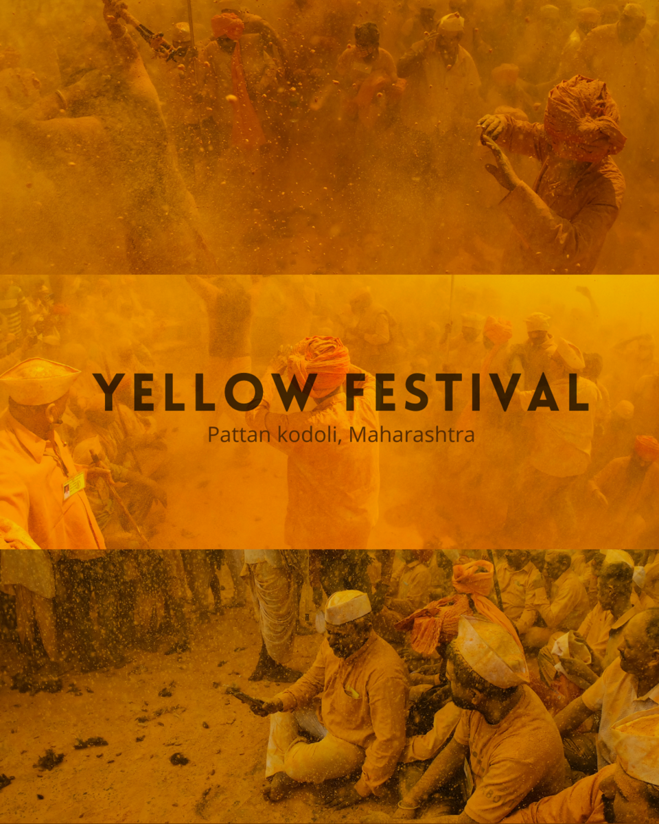 Photo of This Town In Maharashtra Turns Yellow Each October & These Pictures Are Nothing Less Than Splendid! by Aakash Vishwakarma