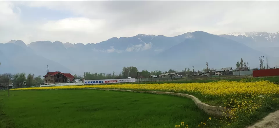 Photo of Sonamarg by Priya Kotecha