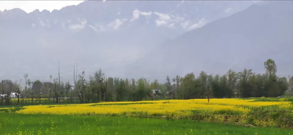 Photo of Sonamarg by Priya Kotecha
