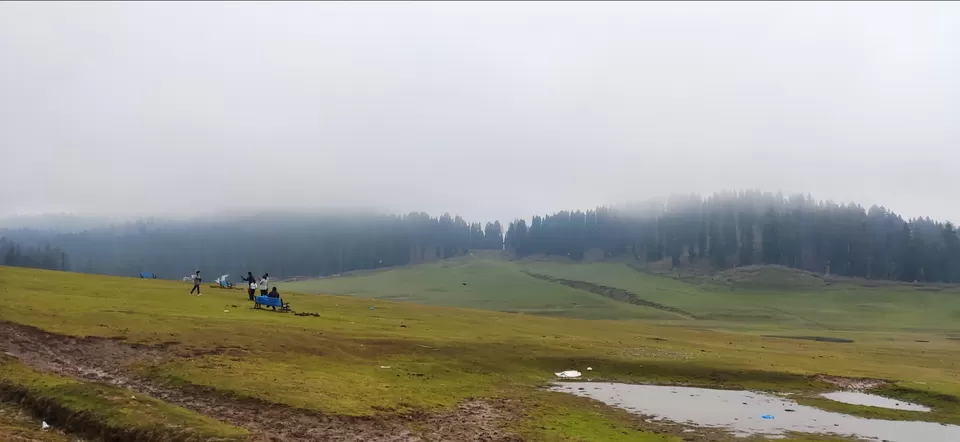 Photo of Doodhpathri by Priya Kotecha