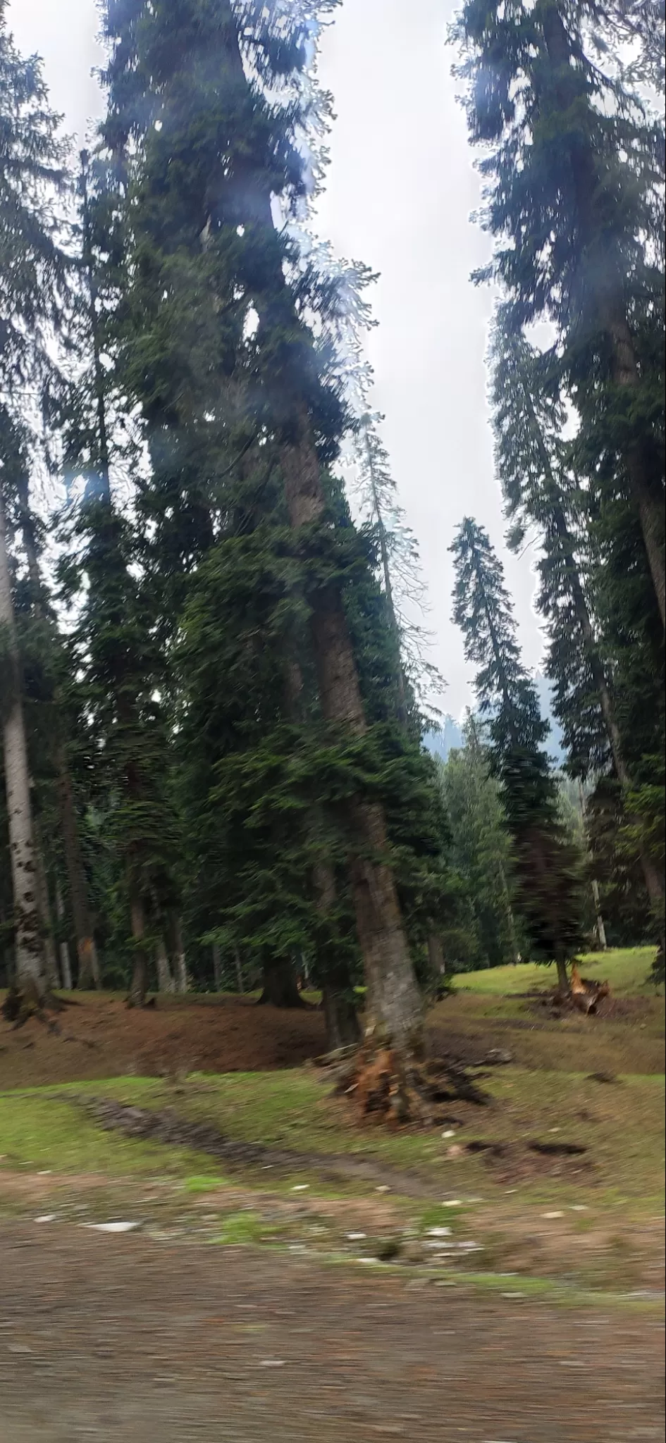 Photo of Doodhpathri by Priya Kotecha