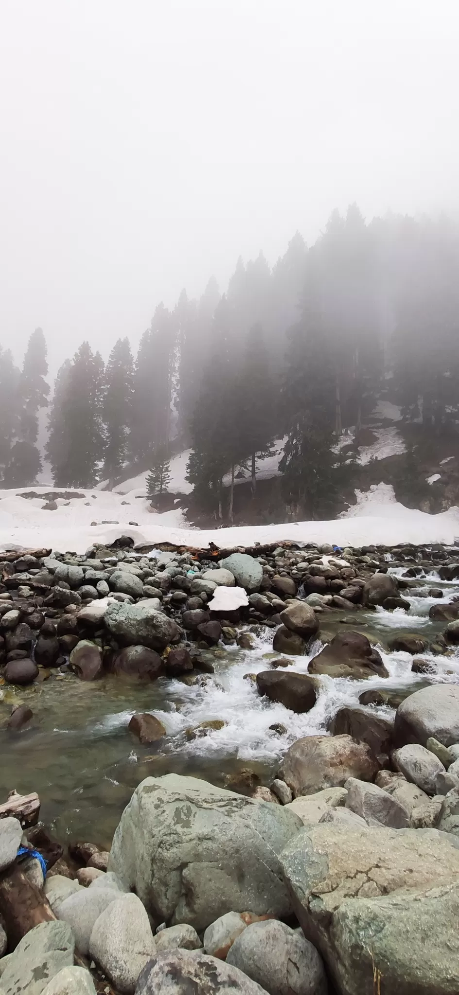 Photo of Doodhpathri by Priya Kotecha